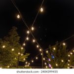 6月1日体彩开奖号码最新公布结果查询 s33anpu1e