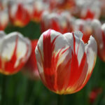 NBA在线文字直播:实时赛况与专业解说尽在掌握 7exfqw88t